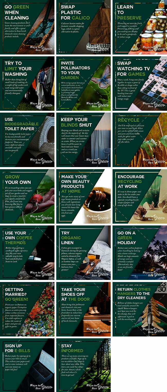 Green Living Bundle | By Healthinomics