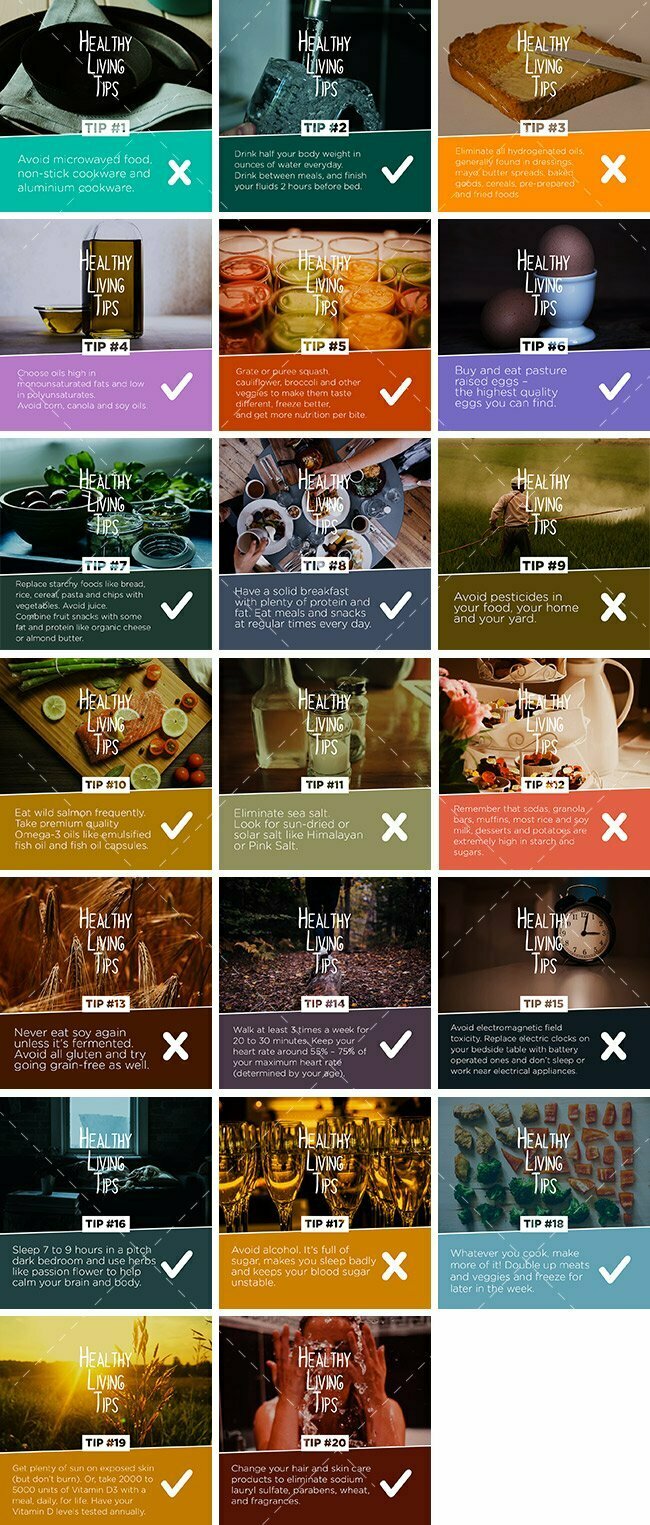 Healthy Living Tips Bundle - Healthinomics