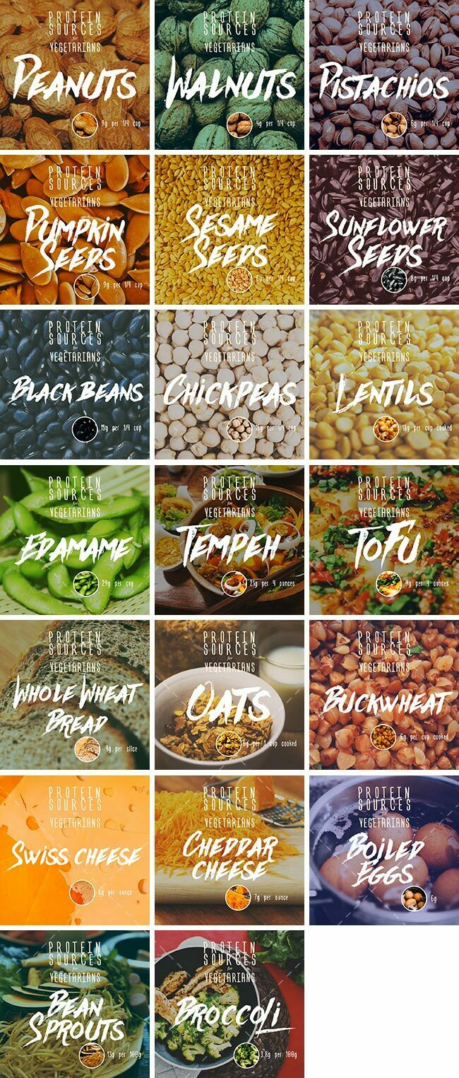 Vegetarian Protein Sources Bundle | By Healthinomics