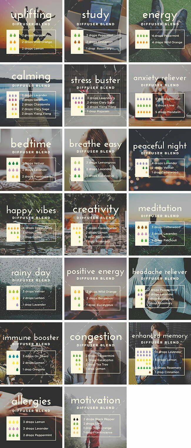 Diffuser Blends Bundle | By Healthinomics