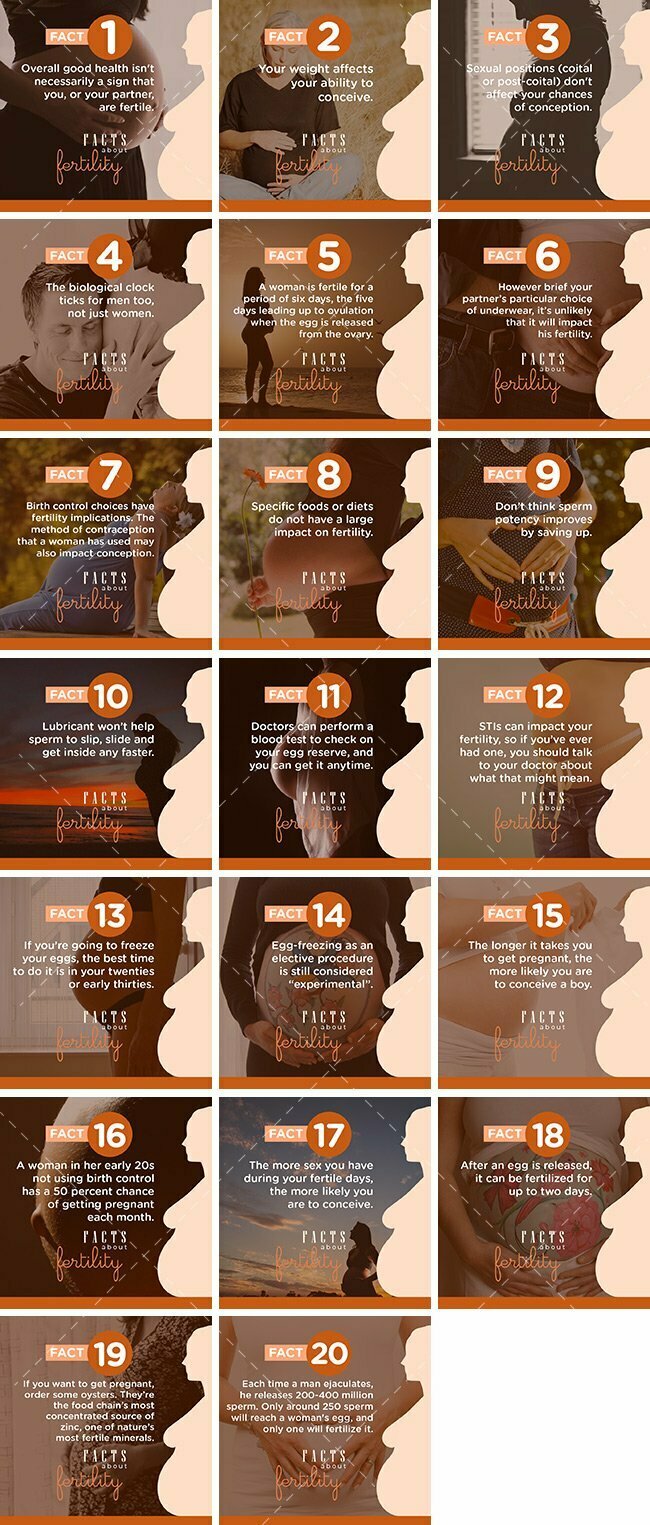 Fertility Facts Bundle | By Healthinomics