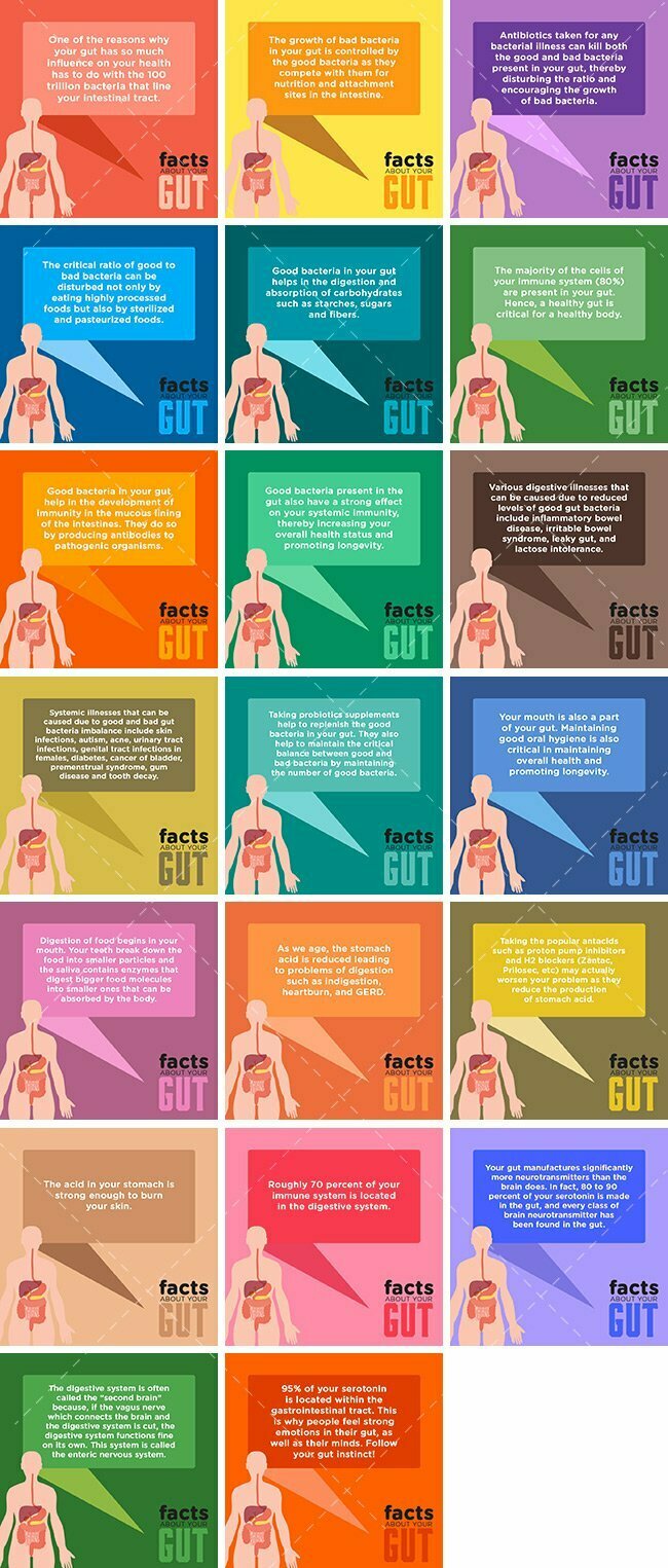 Gut Facts Bundle | By Healthinomics