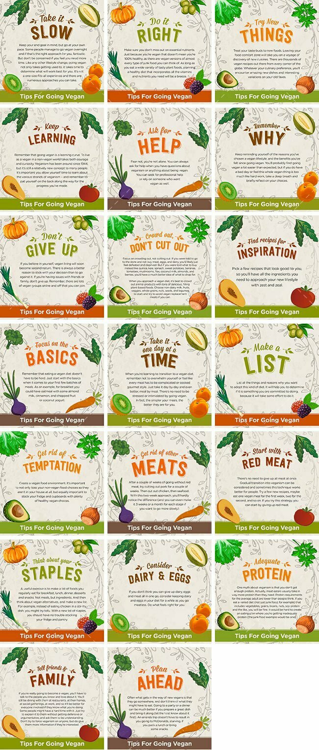 Go Vegan Bundle 1 Go Vegan Bundle | By Healthinomics