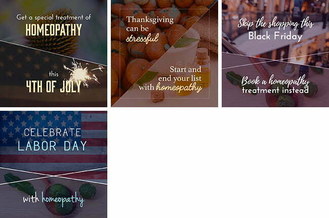 Holiday Homeopathy Promos Bundle 2 Holiday Homeopathy Promos Bundle – Us | By Healthinomics