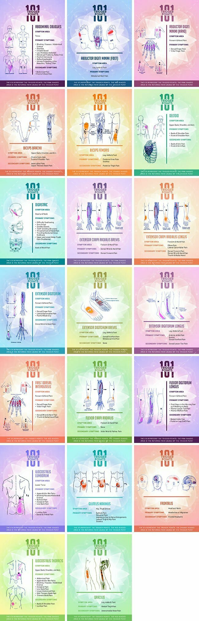 Social Media Images – Trigger Point 101 Bundle | Healthinomics.com