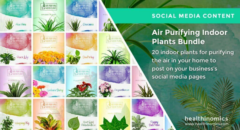 Air Purifying Indoor Plants Bundle Healthinomics