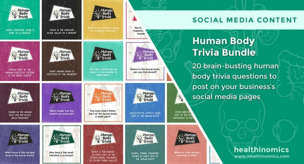 Social Media Images - Human Body Trivia Bundle | Healthinomics.com