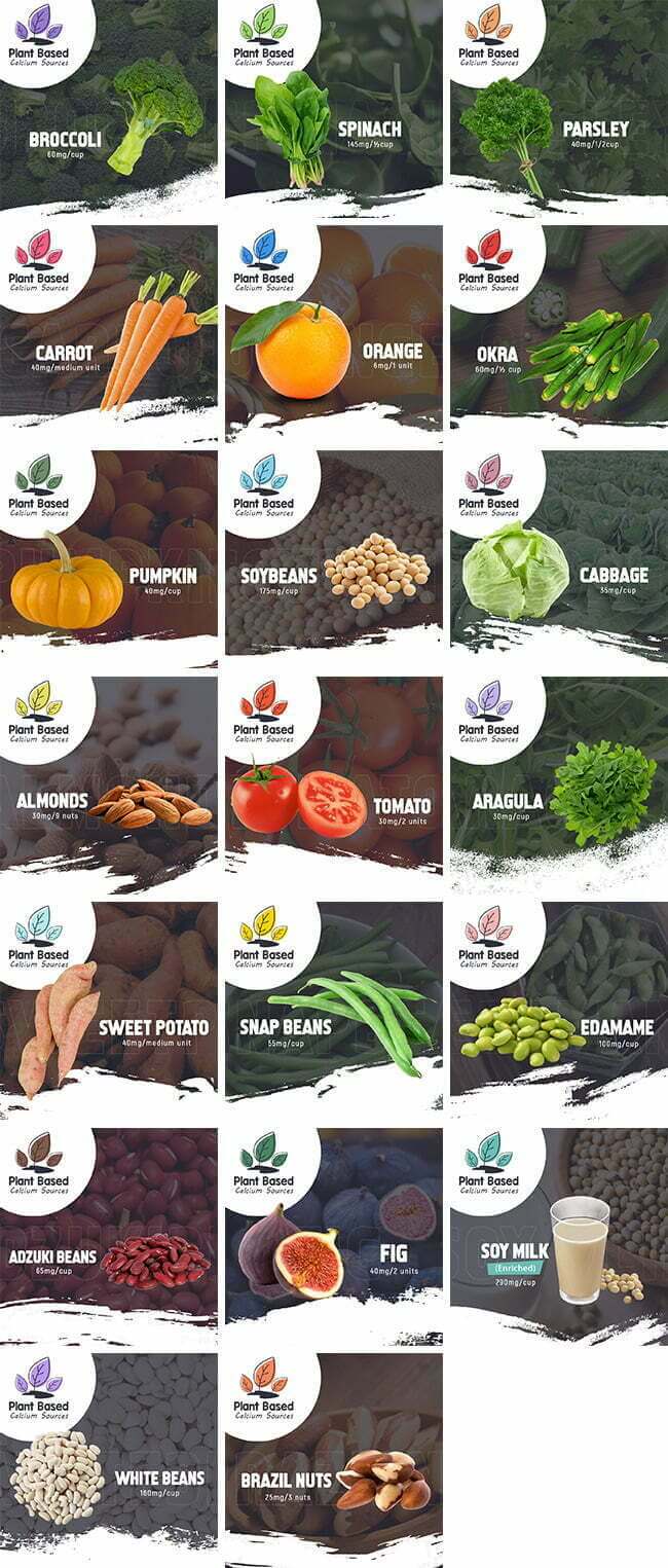 Plant-Based Calcium Sources Bundle 1 Social Media Images - Plant-Based Calcium Sources Bundle | Healthinomics