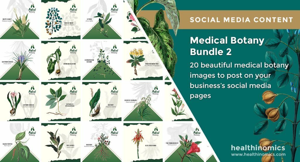 Social Media Images - Medical Botany Bundle 2 | Healthinomics