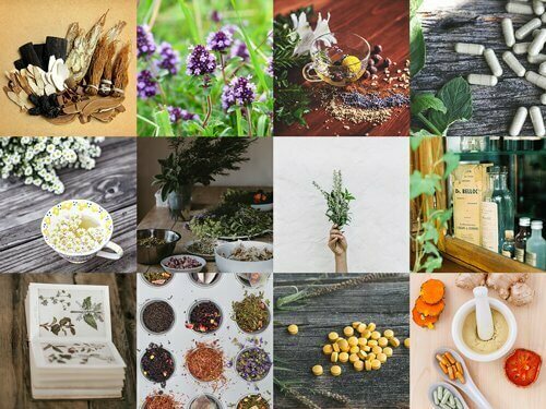 herbal-medicine-stock-photo-pack-healthinomics herbal-medicine-stock-photo-pack-healthinomics