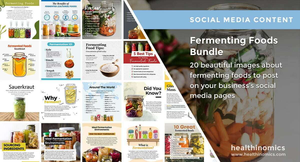 Social Media Images - Fermenting Foods Bundle | Healthinomics